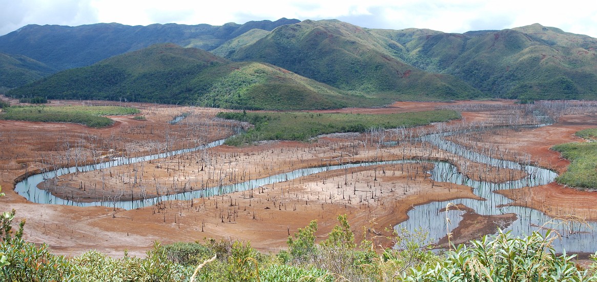 10.79- La foret noyee.JPG